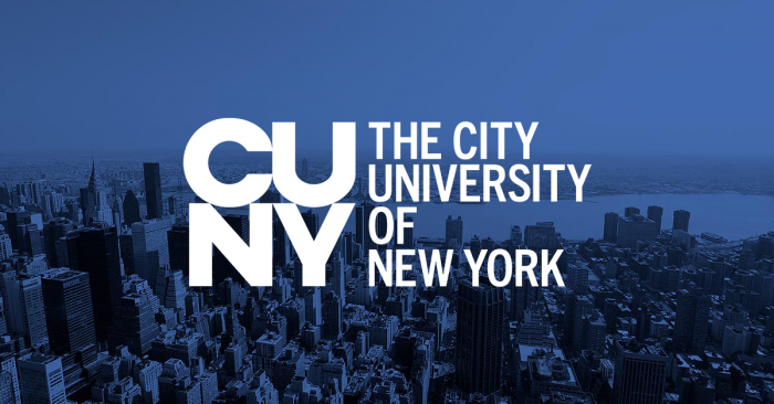 University Executive Director of Public Safety