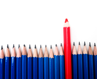 A row of identical sharpened blue pencils is lined up horizontally. A single red pencil stands out in the middle, vertically positioned and extending above the blue pencils, perfectly illustrating the concept of standing out from your competition. The background is plain white.