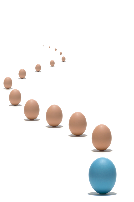 A single blue egg stands out among a line of brown eggs arranged in a slight curve on a white background, symbolizing the impact of mentoring. The brown eggs are evenly spaced, creating a pattern that naturally draws the eye toward the distinctive blue egg in the foreground.