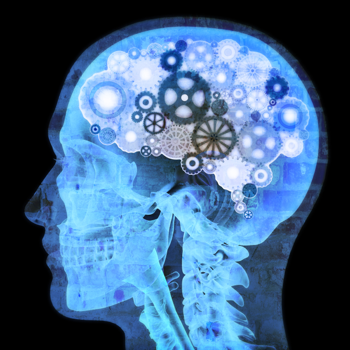 Illustration of a human head in profile with the brain depicted as a collection of interconnected gears and mechanisms, all glowing in a blue hue, symbolizing the concept of the brain as a complex, machinelike system, often explored in wellness programs.