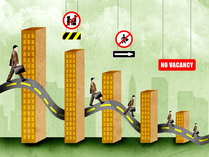 career search