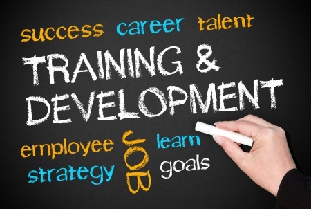 A hand holds a piece of chalk and writes on a blackboard filled with various words. The central text reads "Training & Development." Surrounding words include "success," "career," "talent," "performance expectations," "strategy," "job," "learn," and "goals.