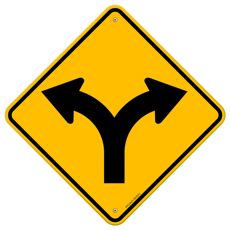 A yellow diamond-shaped road sign with a black Y-shaped arrow indicates that the road splits into two directions, left and right—much like the choices one faces during a gap year.