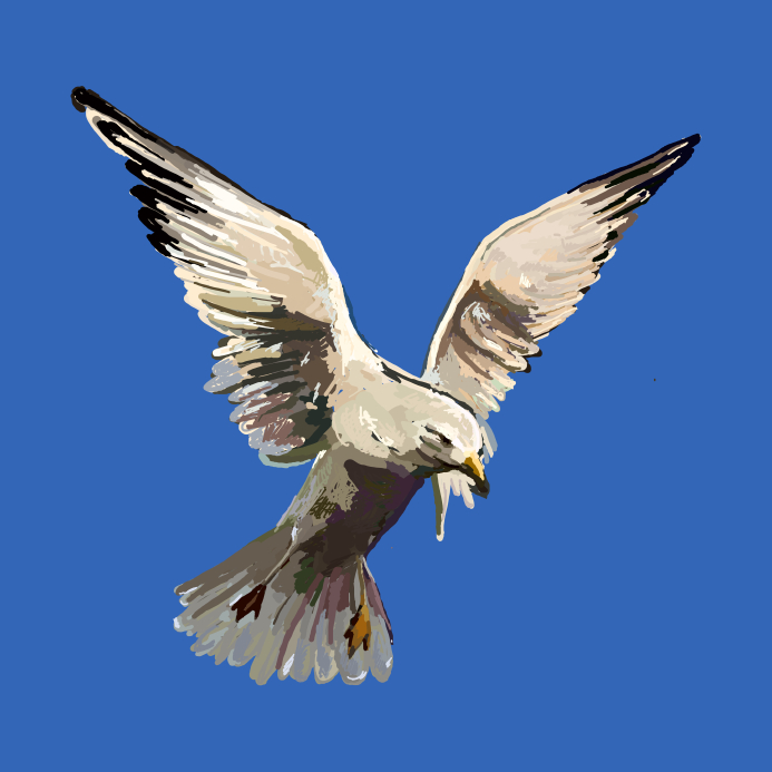A digital painting of a seagull captured in mid-flight against a solid blue background. The seagull's wings are widely spread, its beak slightly open, embodying the essence of freedom. The details in the feathers contrast with the simple, vibrant backdrop.