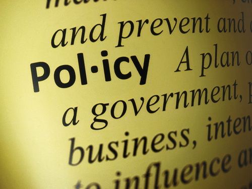 Organizational Policy in Local Government