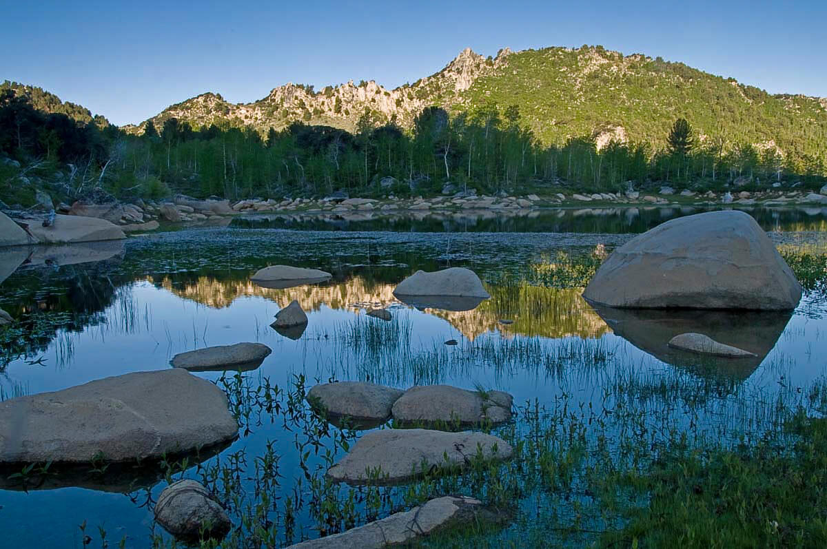 State of Nevada
