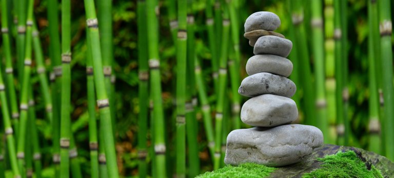 How to Get a Return on Your Worksite Wellness Program