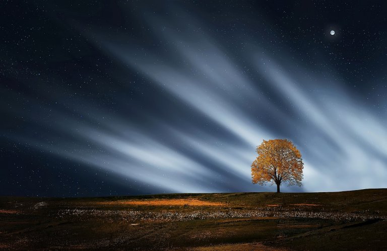 The Characteristics of Influential Leaders