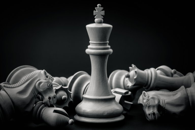 The New Leader