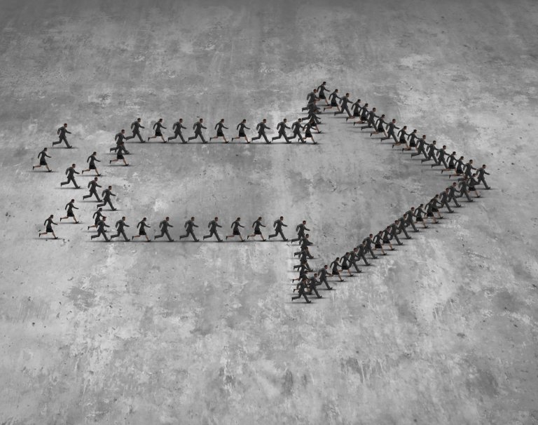Shared Values and Common Goals