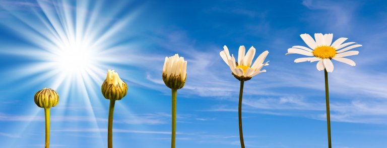 How to Address Resistance to Change