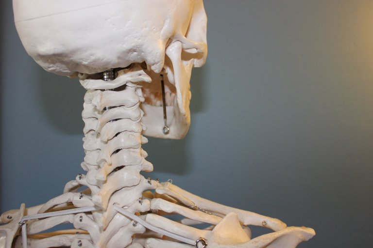 Public Safety Academy Gets Hands-On with California State University, Chico’s Criminal Forensic Anthropology Program