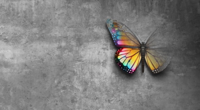 A vividly colored butterfly with a blend of orange, yellow, red, blue, and purple wings rests against a textured gray concrete wall, creating a stark contrast between the vibrant colors and the muted background—a symbol of hope amidst the mundane.