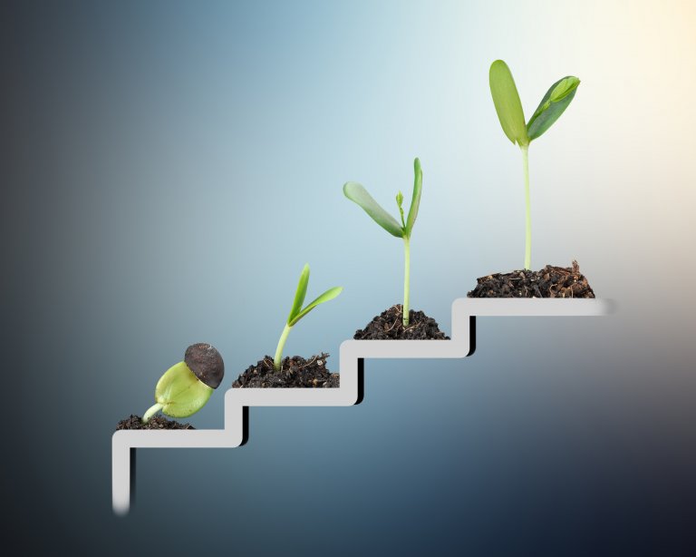 Strong Service Character vs. Self-Serving