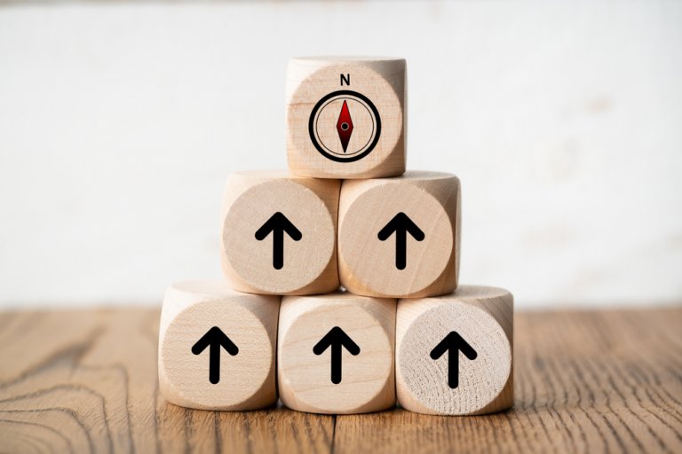 Government’s Performance Dilemma