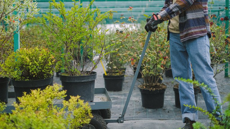 From Nature Enthusiast to Career Explorer: Finding Your Path in New York State Parks Jobs